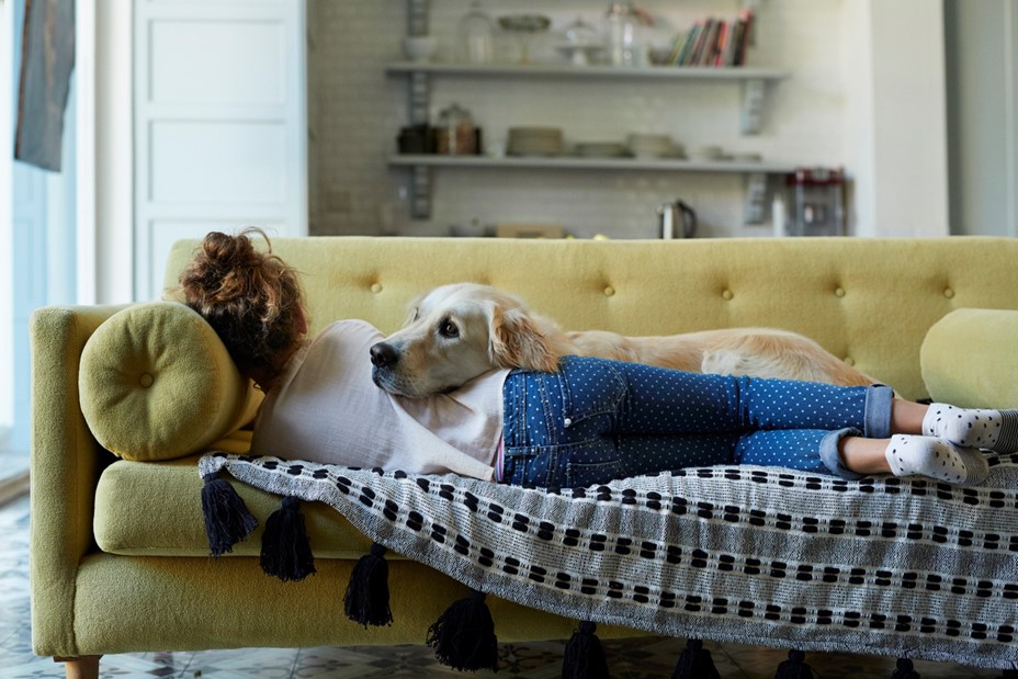 woman laying on apartment sofa with dog